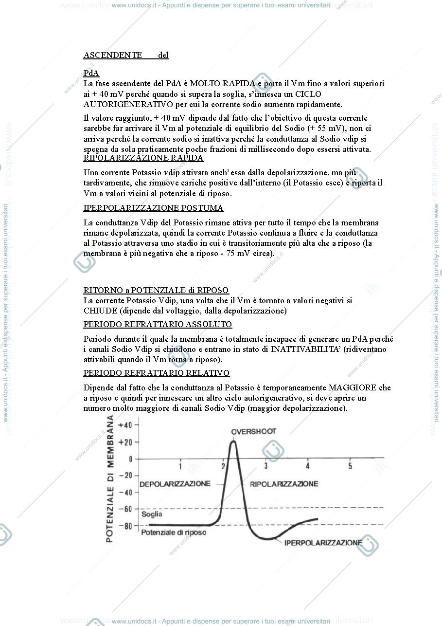 Anteprima pagina 3 — Fondamenti anatomo-fisiologici dei processi psichici