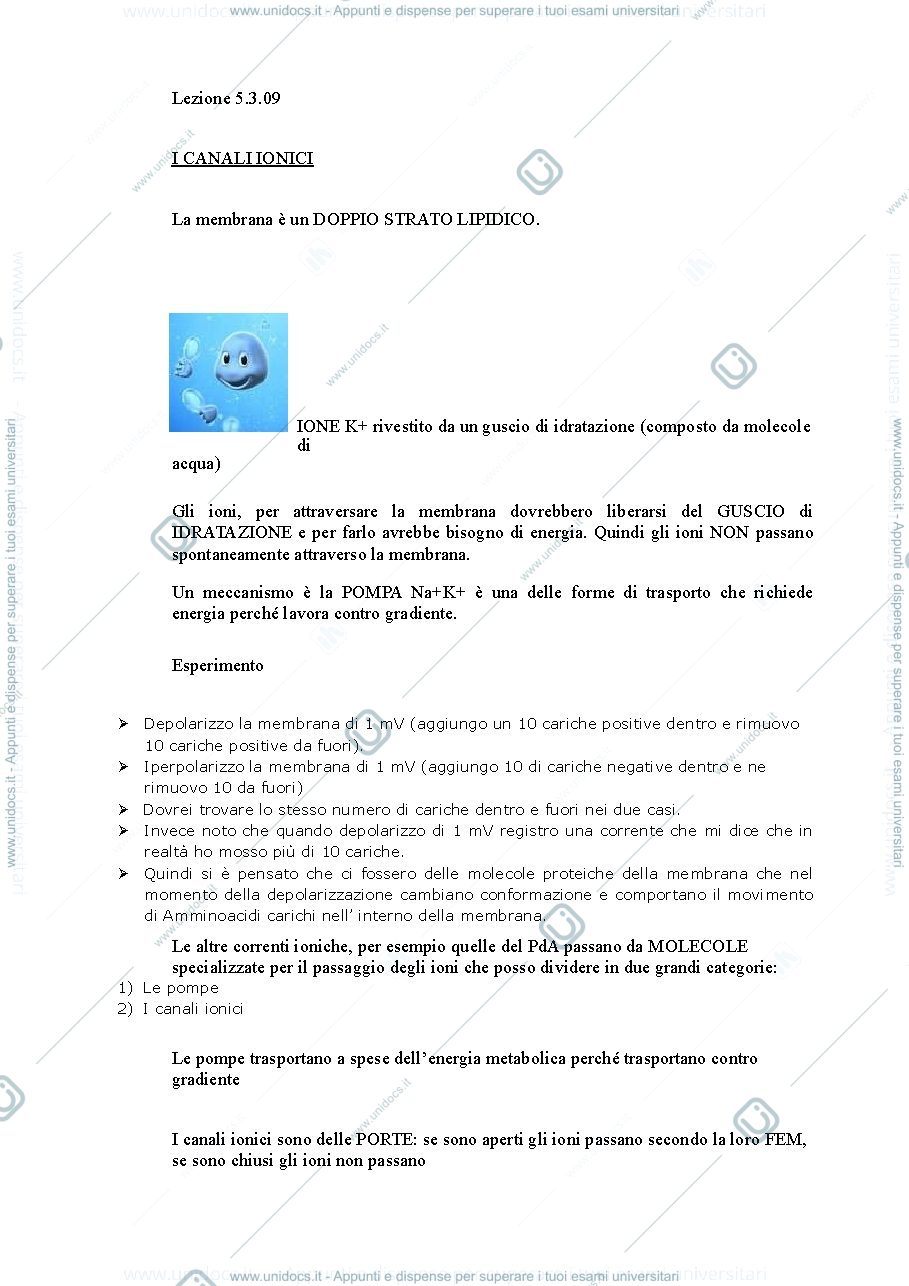 Anteprima pagina 4 — Fondamenti anatomo-fisiologici dei processi psichici