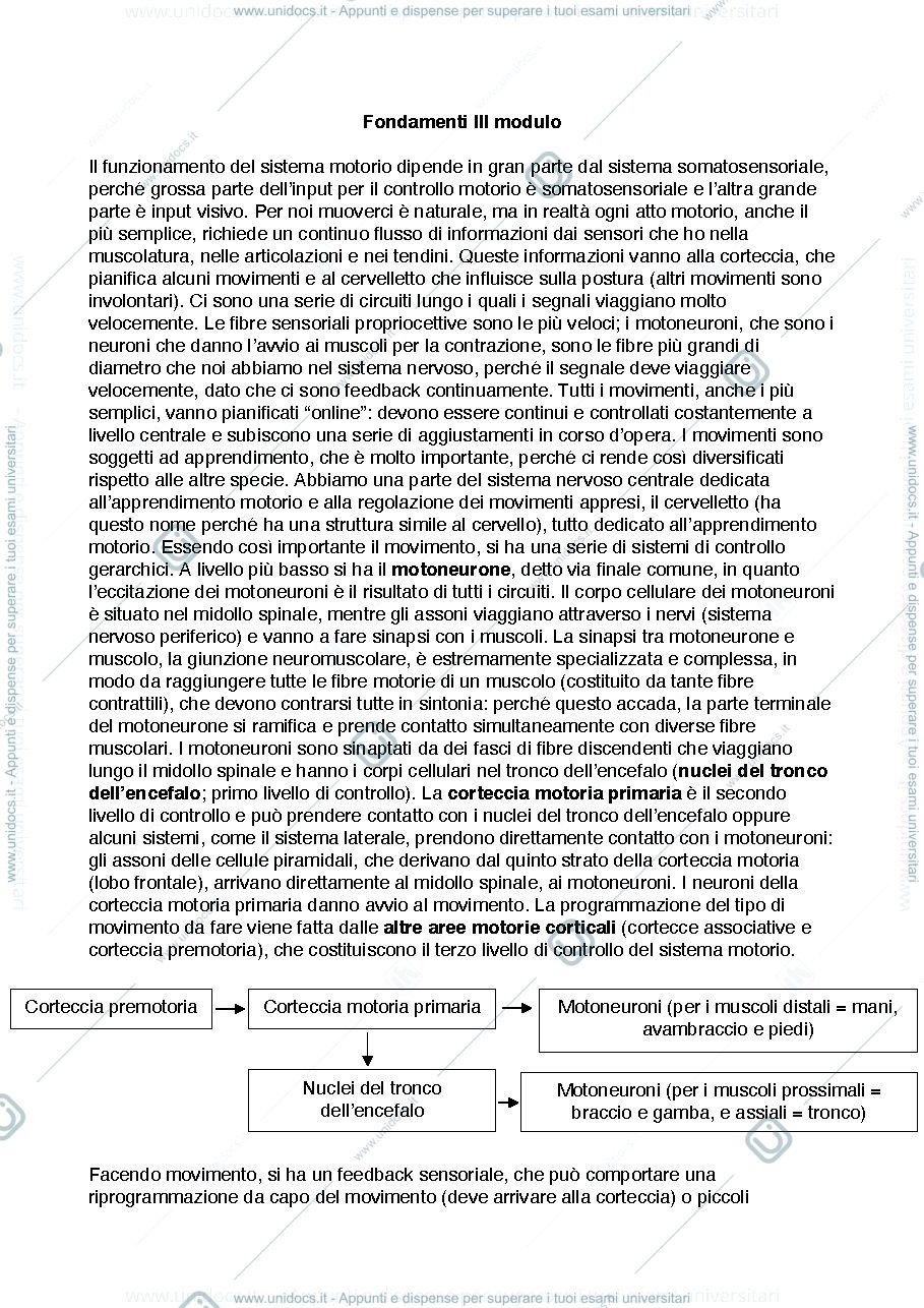 Anteprima pagina 1 — appunti fondamenti III modulo prof. del viva