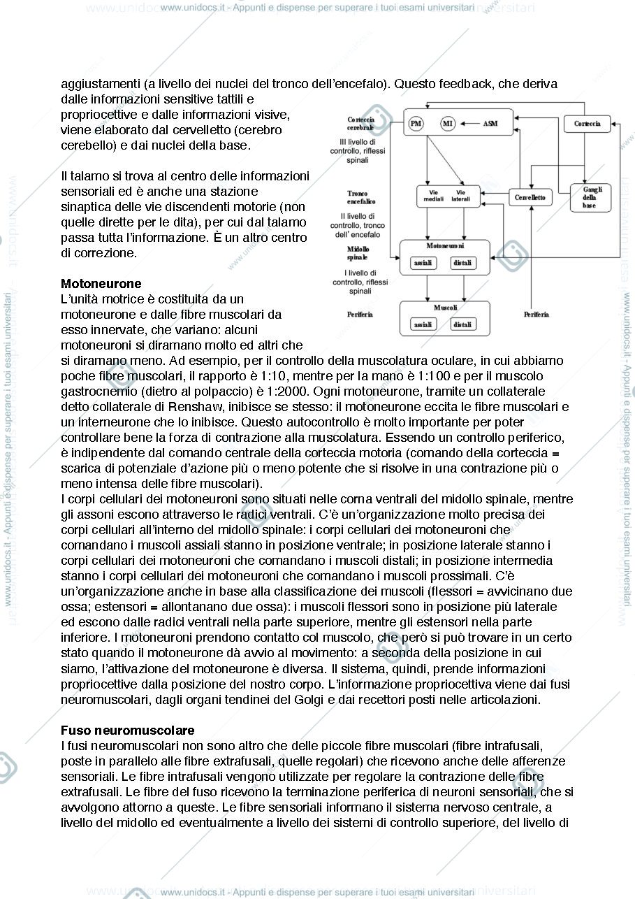 Anteprima pagina 2 — appunti fondamenti III modulo prof. del viva