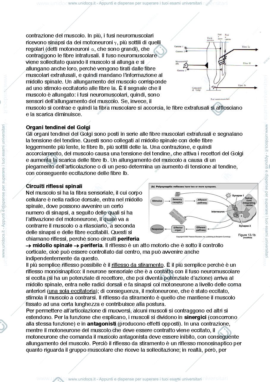 Anteprima pagina 3 — appunti fondamenti III modulo prof. del viva