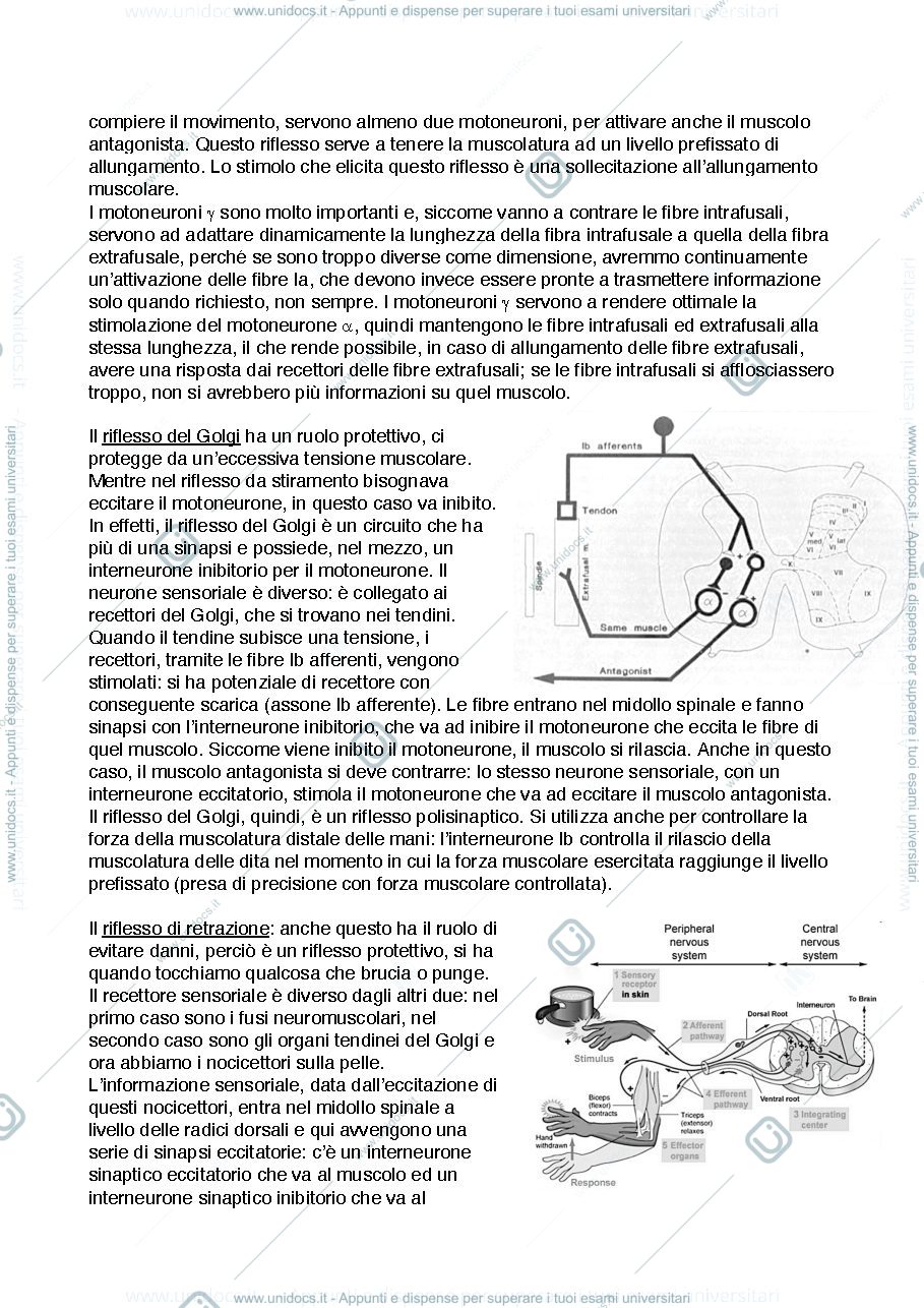 Anteprima pagina 4 — appunti fondamenti III modulo prof. del viva
