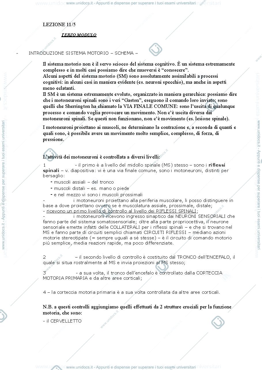 Anteprima pagina 1 — Fondamenti anatomo-fisiologici dei processi psichici