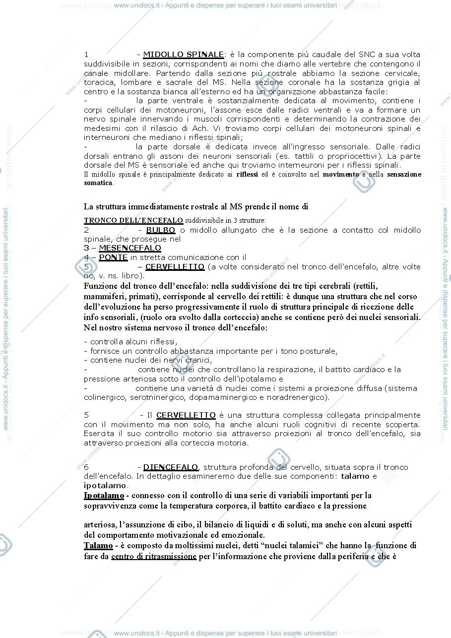 Anteprima pagina 2 — Fondamenti anatomo-fisiologici dei processi psichici