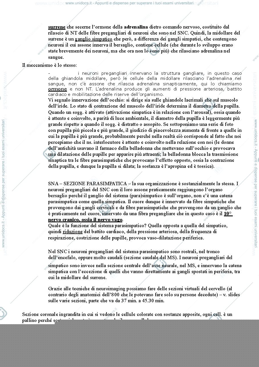 Anteprima pagina 5 — Fondamenti anatomo-fisiologici dei processi psichici