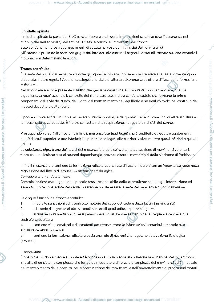 Anteprima pagina 2 — Fondamenti 