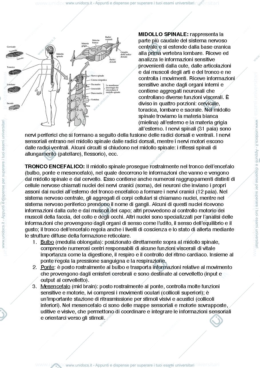 Anteprima pagina 2 — Fondamenti modulo 2