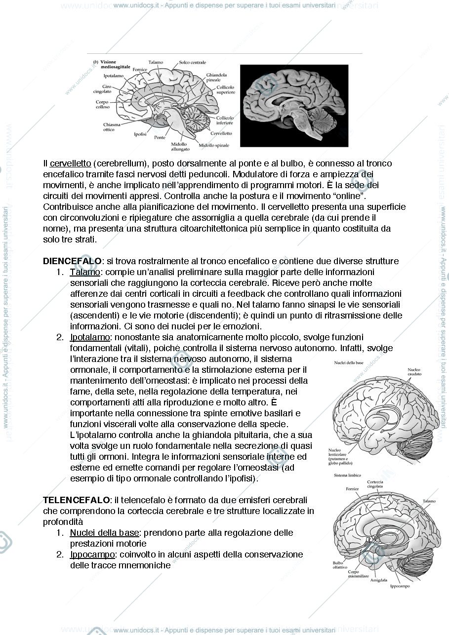 Anteprima pagina 3 — Fondamenti modulo 2