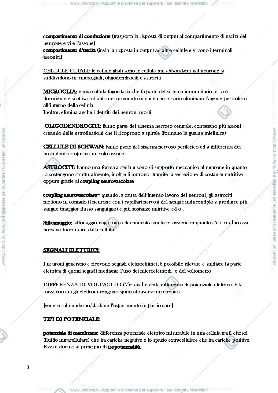 Anteprima pagina 3 — Modulo 1 fondamenti anatomia fisiologici 