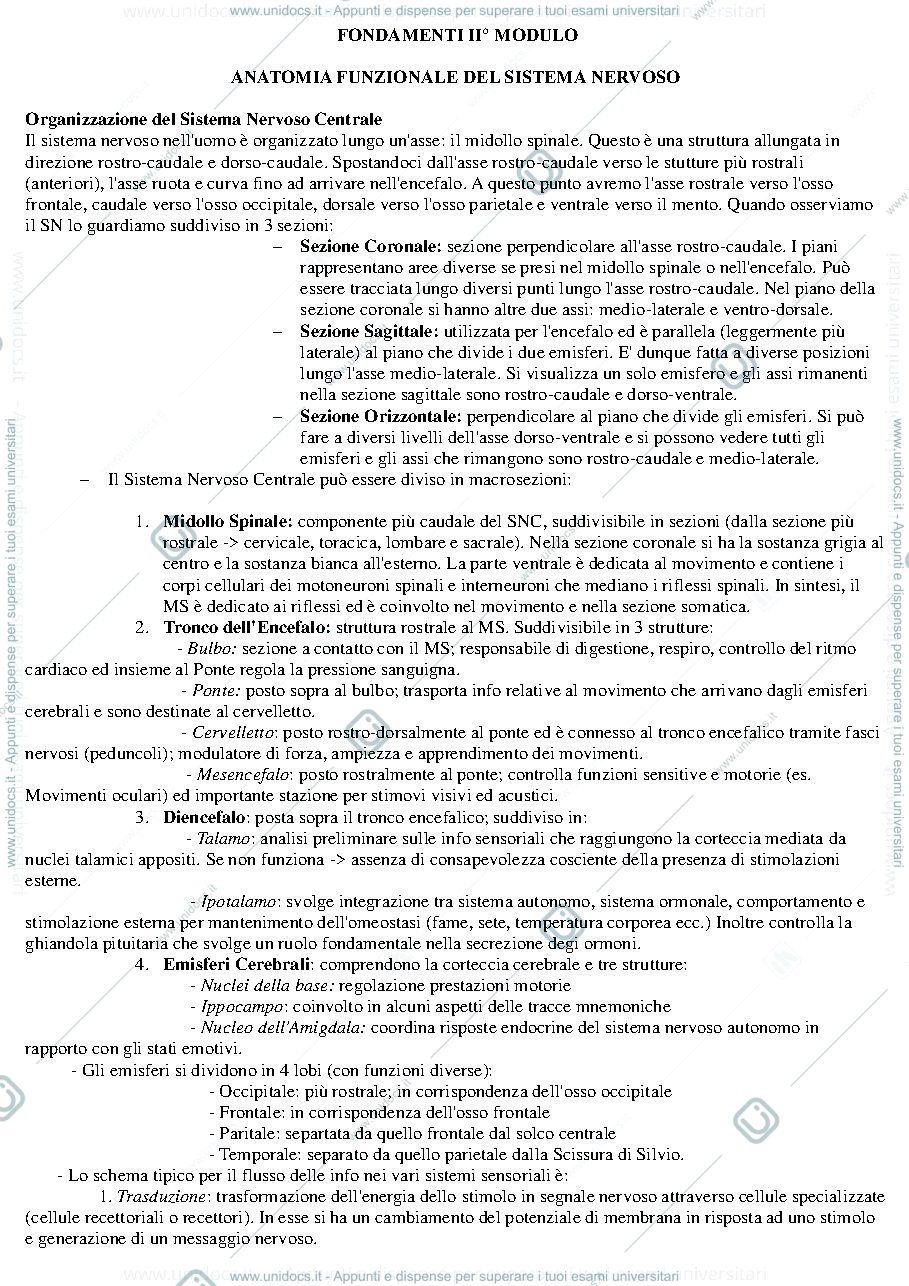 Anteprima pagina 1 — Riassunto II° Modulo Fondamenti Anatomo-fisiologici dell'attività psichica