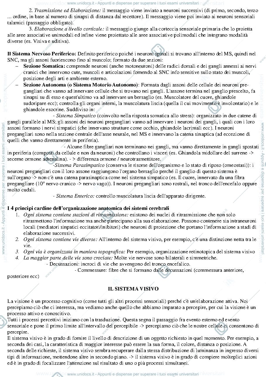 Anteprima pagina 2 — Riassunto II° Modulo Fondamenti Anatomo-fisiologici dell'attività psichica