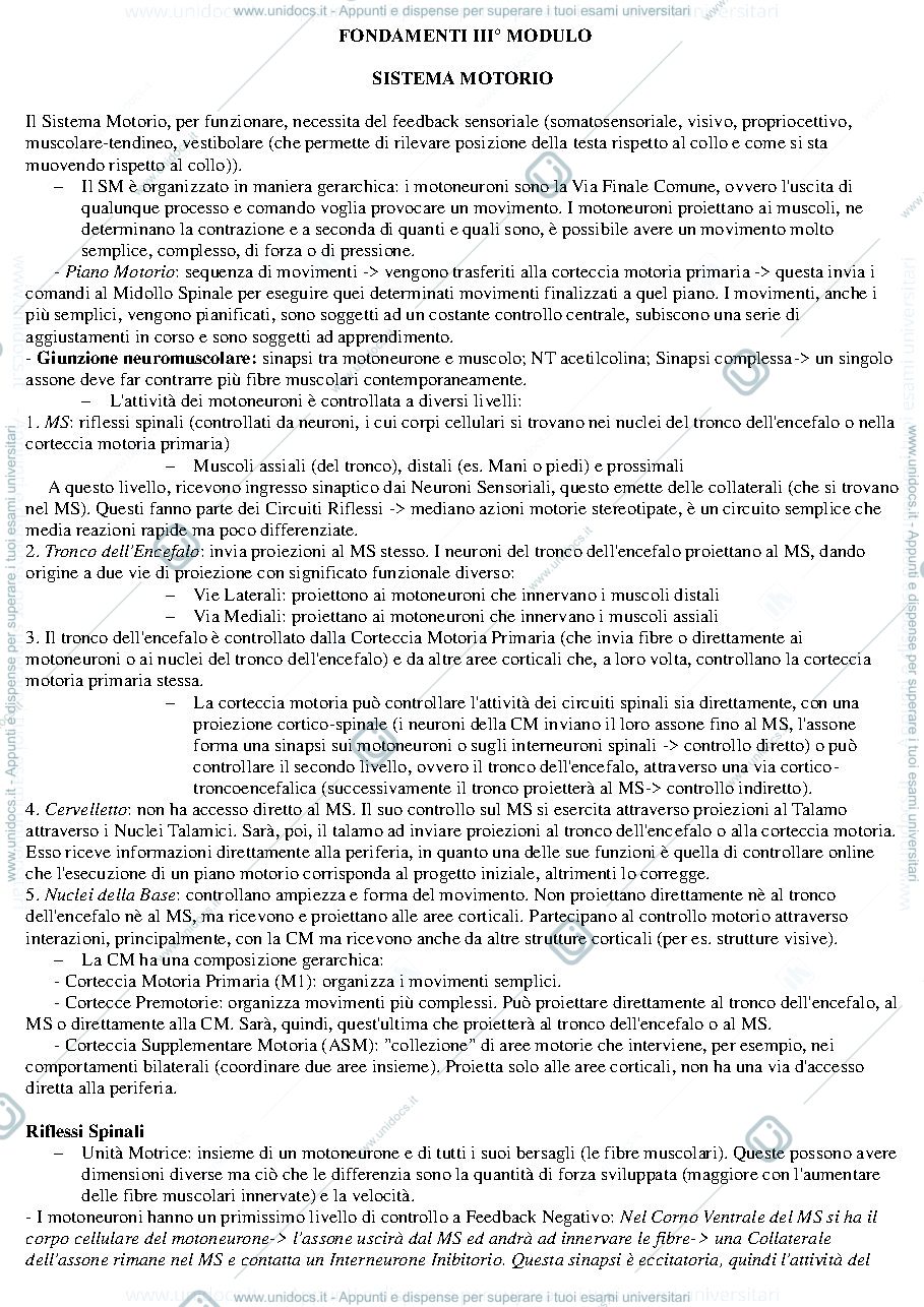 Anteprima pagina 1 — Riassunto III° Modulo Fondamenti Anatomo-fisiologici dell'attività psichica