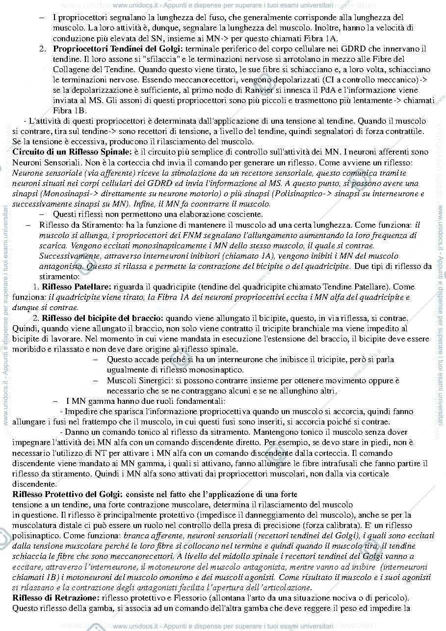 Anteprima pagina 3 — Riassunto III° Modulo Fondamenti Anatomo-fisiologici dell'attività psichica