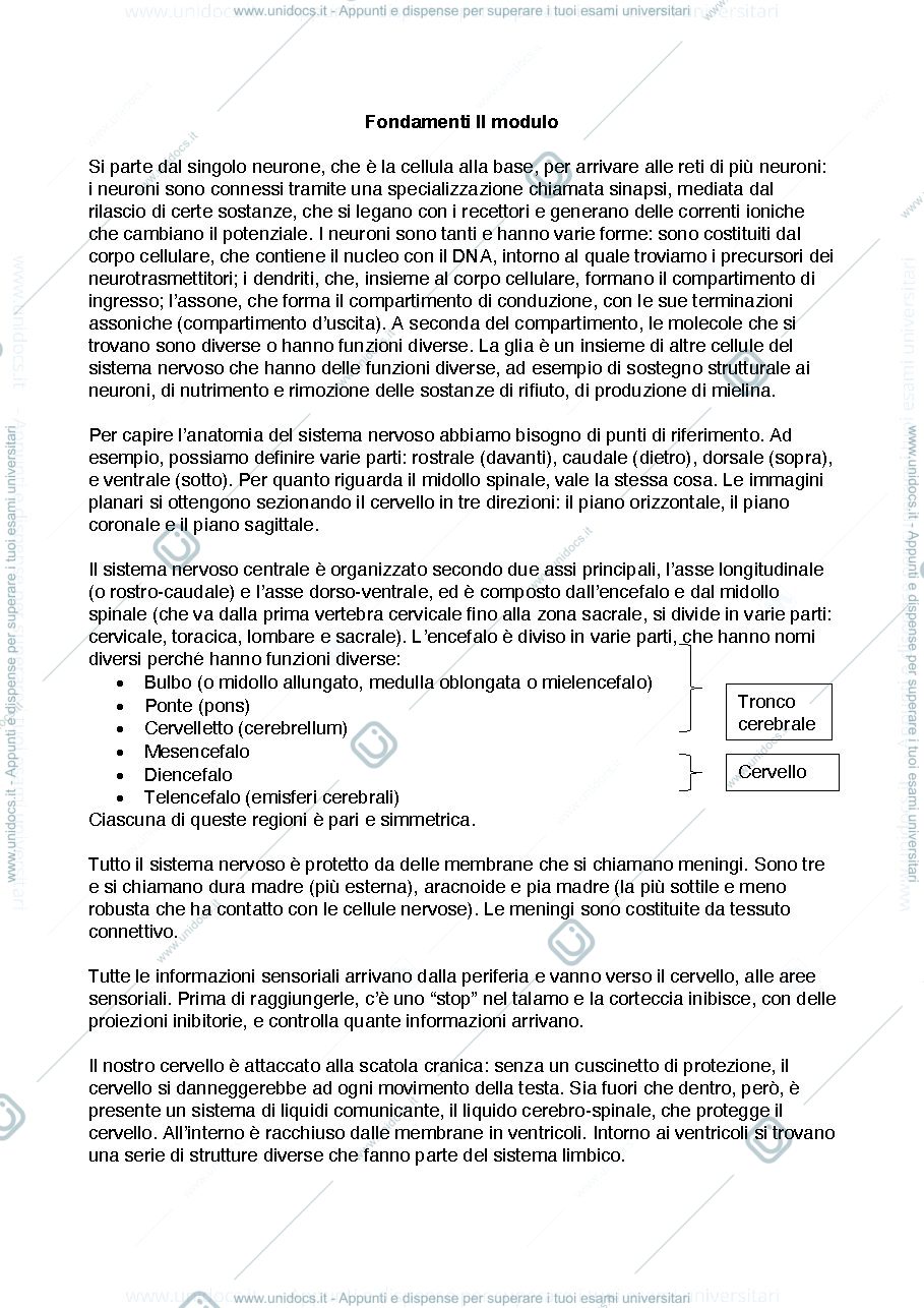Anteprima pagina 1 — appunti fondamenti II modulo prof. del viva