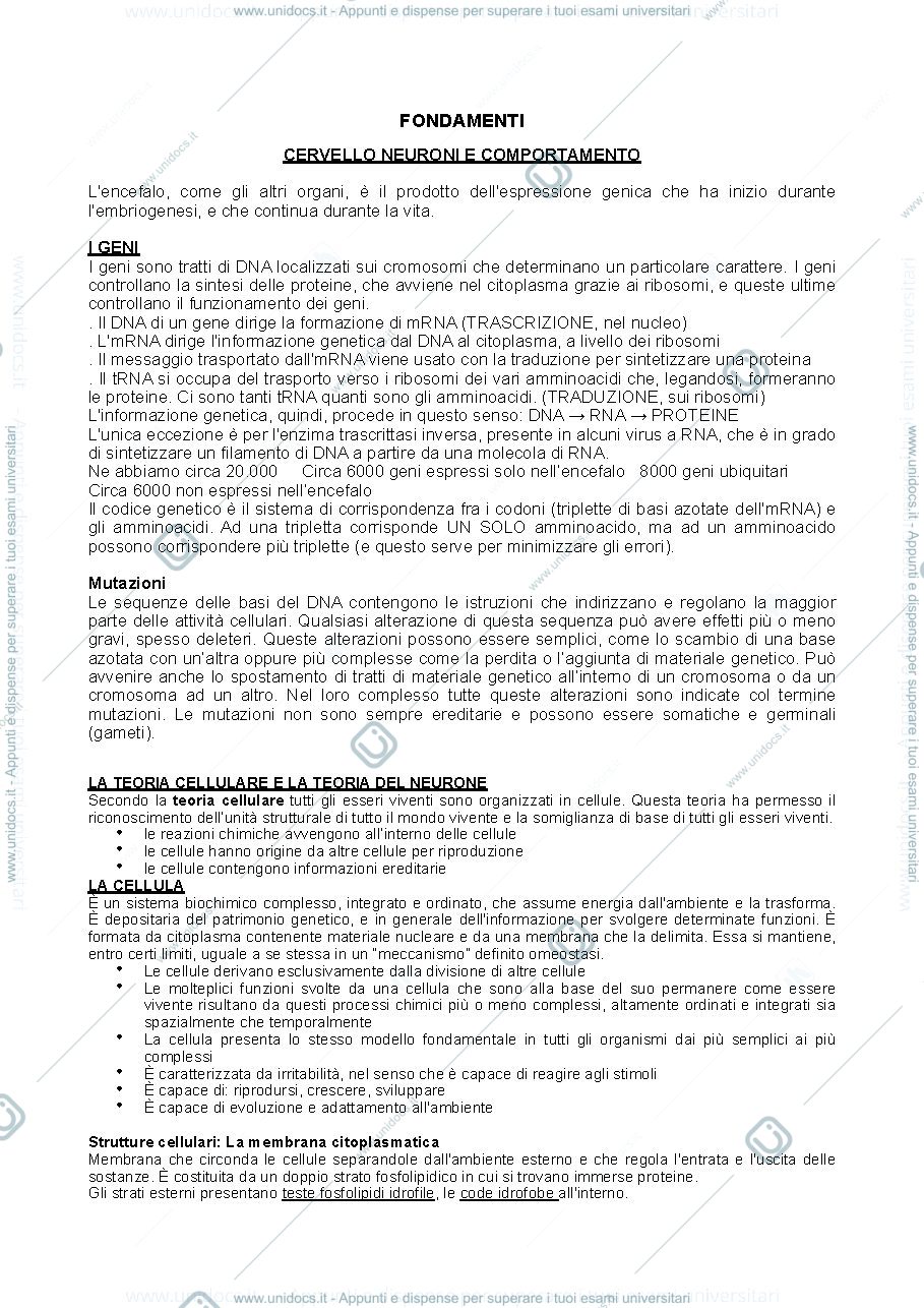 Anteprima pagina 1 — Appunti di Fondamenti