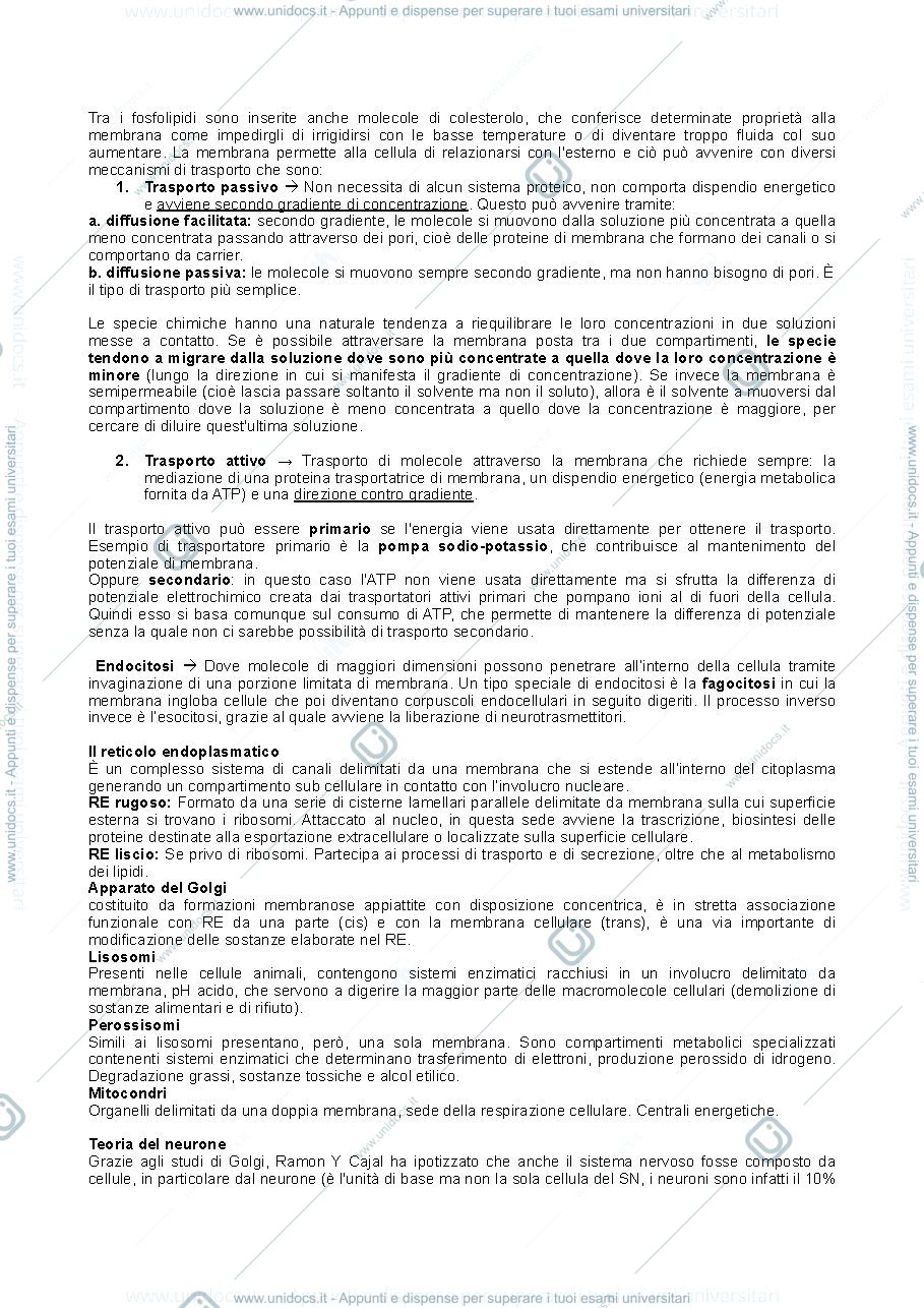 Anteprima pagina 2 — Appunti di Fondamenti