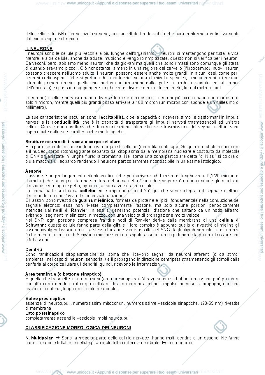 Anteprima pagina 3 — Appunti di Fondamenti