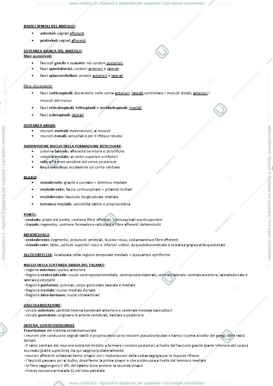 Anteprima pagina 1 — riassunto fondamenti anatomo fisiologici dell'attività psichica