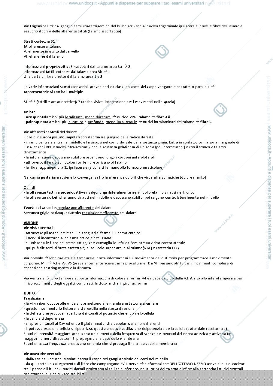 Anteprima pagina 2 — riassunto fondamenti anatomo fisiologici dell'attività psichica