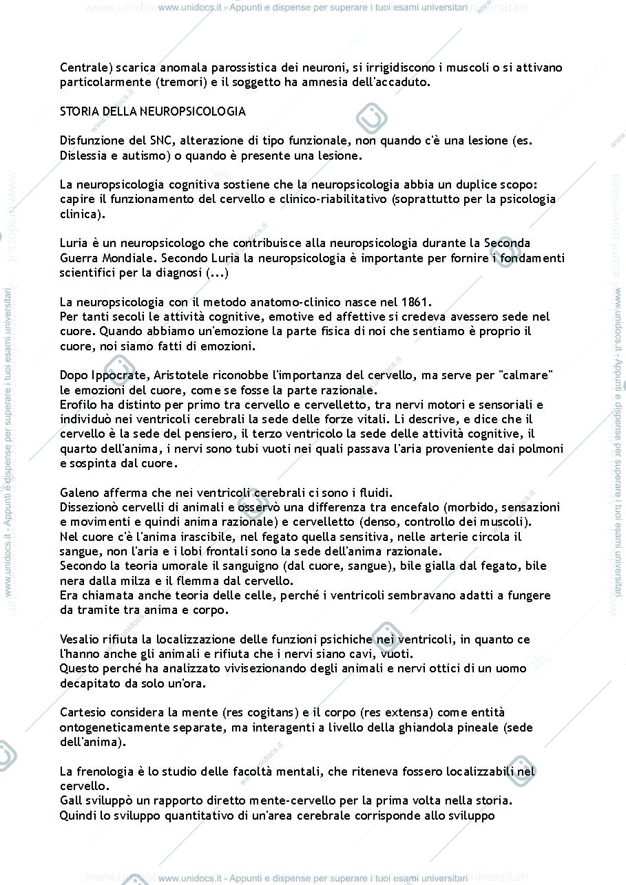 Anteprima pagina 4 — Appunti lezioni Fondamenti della Neuropsicologia