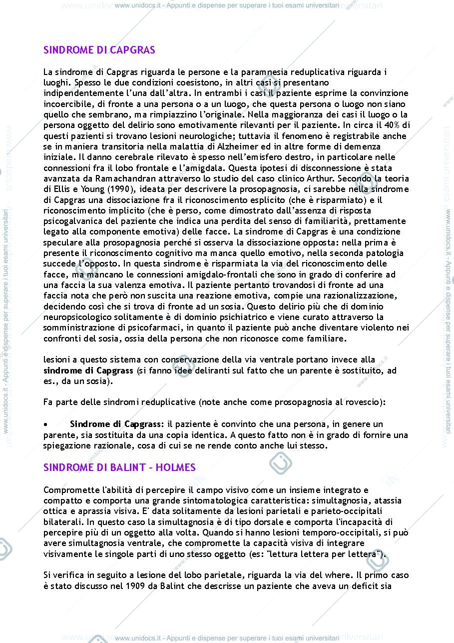 Anteprima pagina 1 — Domande esame Fondamenti della Neuropsicologia