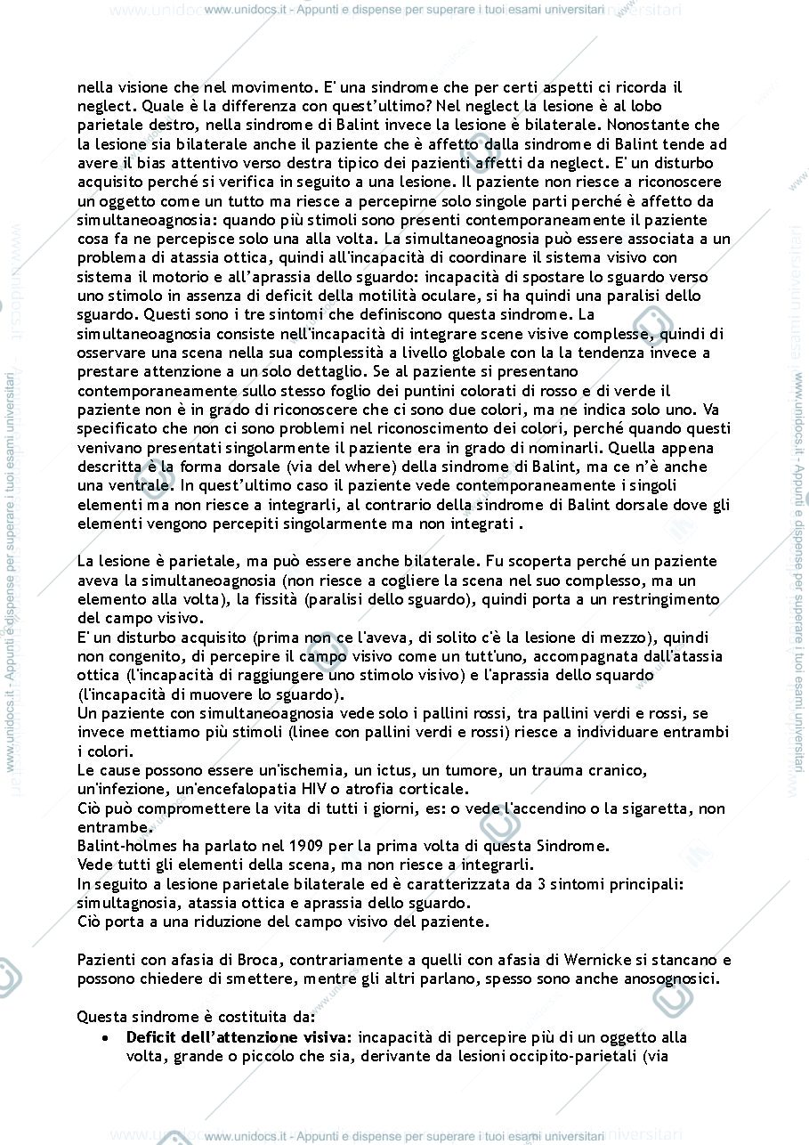 Anteprima pagina 2 — Domande esame Fondamenti della Neuropsicologia
