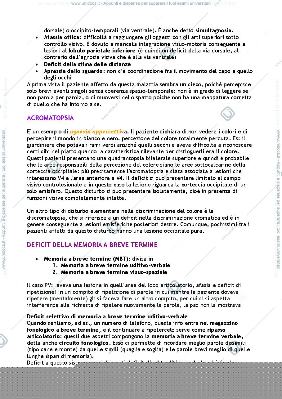 Anteprima pagina 3 — Domande esame Fondamenti della Neuropsicologia