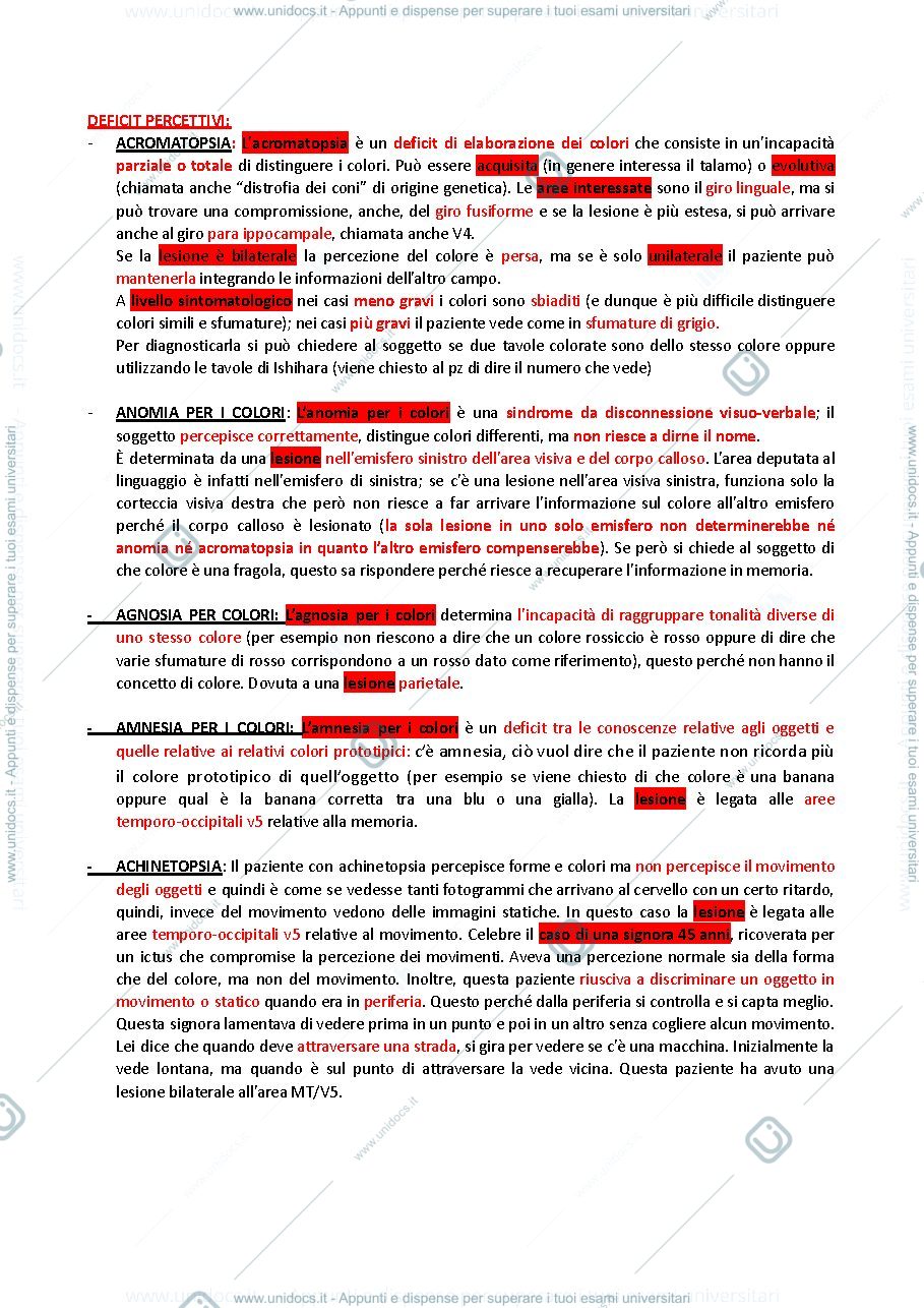 Anteprima pagina 3 — Riassunto neuropsicologia 