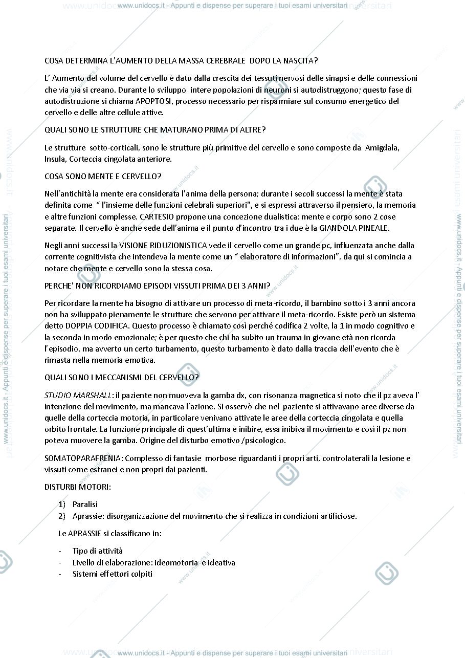 Anteprima pagina 1 — ripasso neuropsicologia