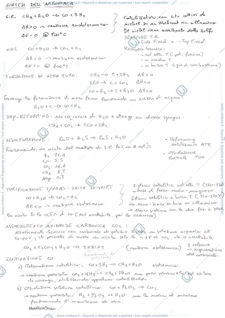 Anteprima pagina 1 — Sintesi ammoniaca