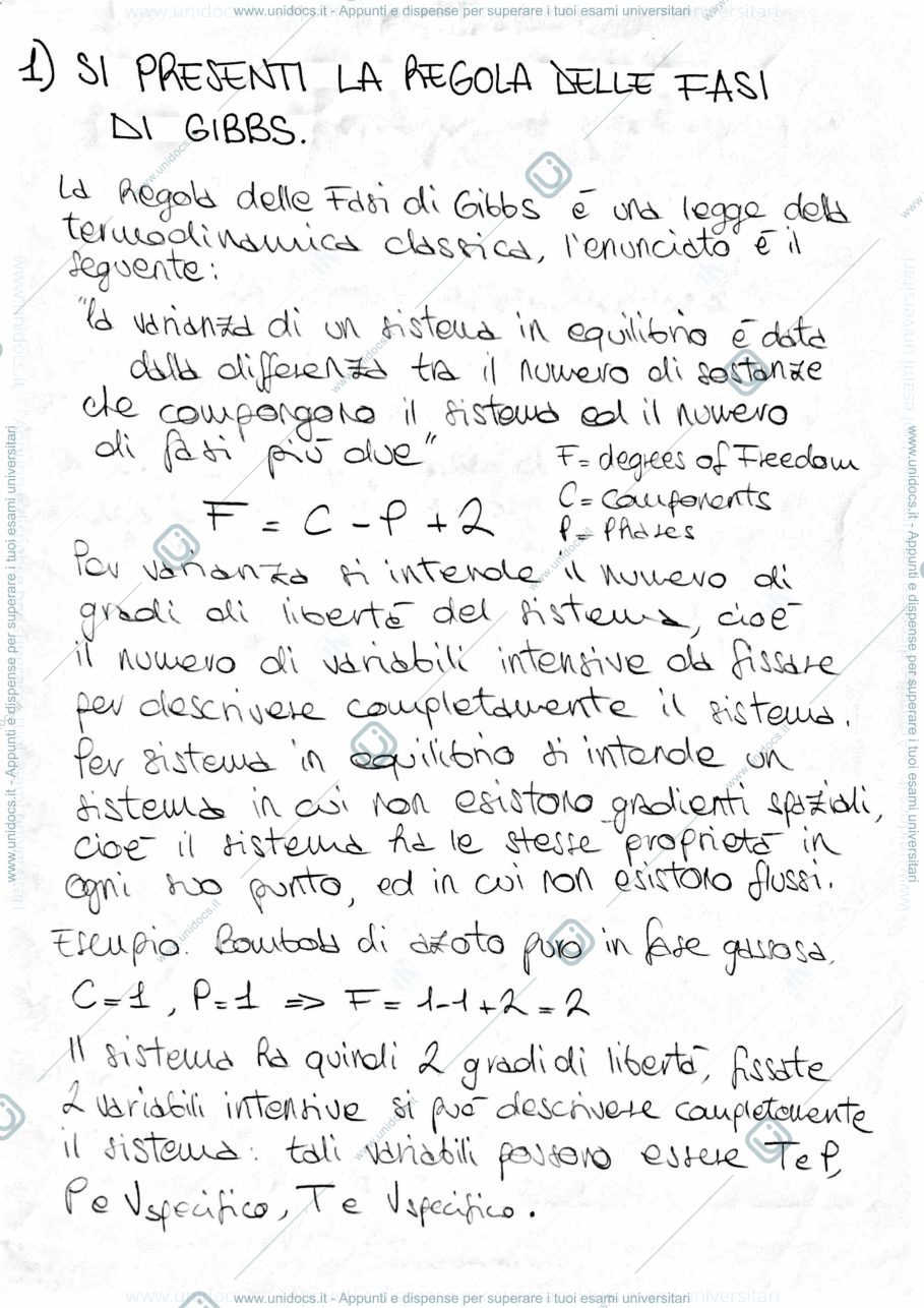 Anteprima pagina 1 — Riposte alle domande di teoria dell'esame di FIP