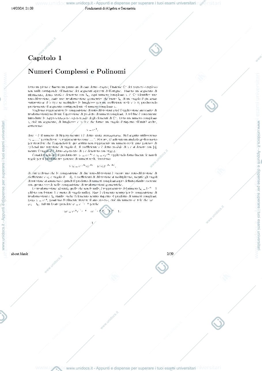 Anteprima pagina 2 — Sintesi argomenti trattati