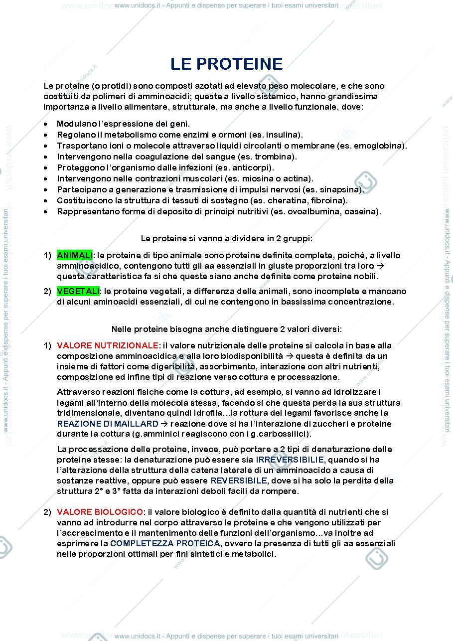 Anteprima pagina 1 — proteine