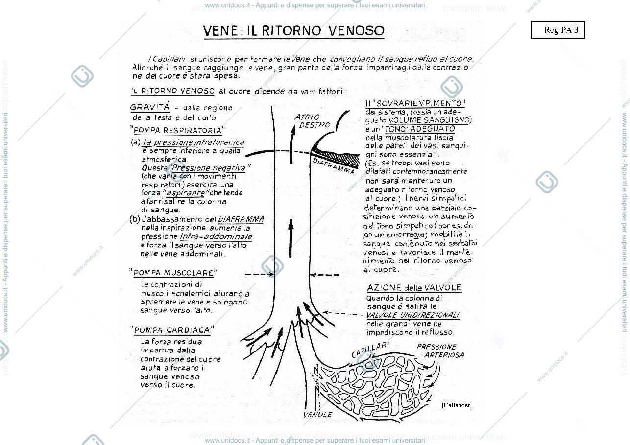 Anteprima pagina 3 — REGOLAZIONE PA