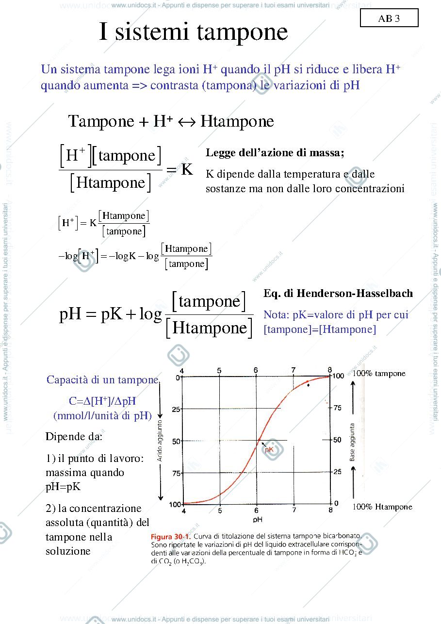 Anteprima pagina 3 — EQUILIBRIO ACIDO-BASE