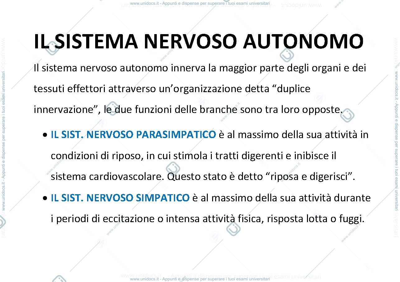 Anteprima pagina 1 — IL SISTEMA NERVOSO AUTONOMO