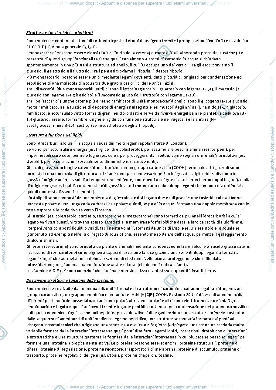 Anteprima pagina 1 — Fondamenti di Biologia: domande e risposte