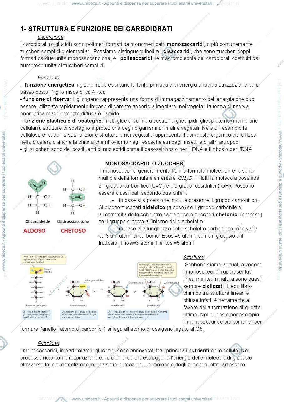 Anteprima pagina 1 — domande e risposte biologia 