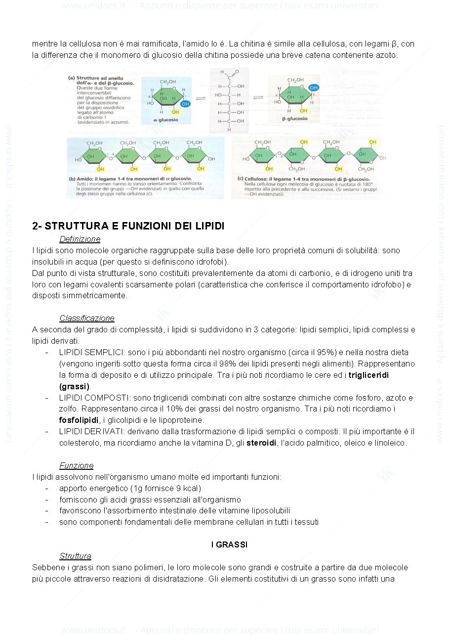 Anteprima pagina 3 — domande e risposte biologia 
