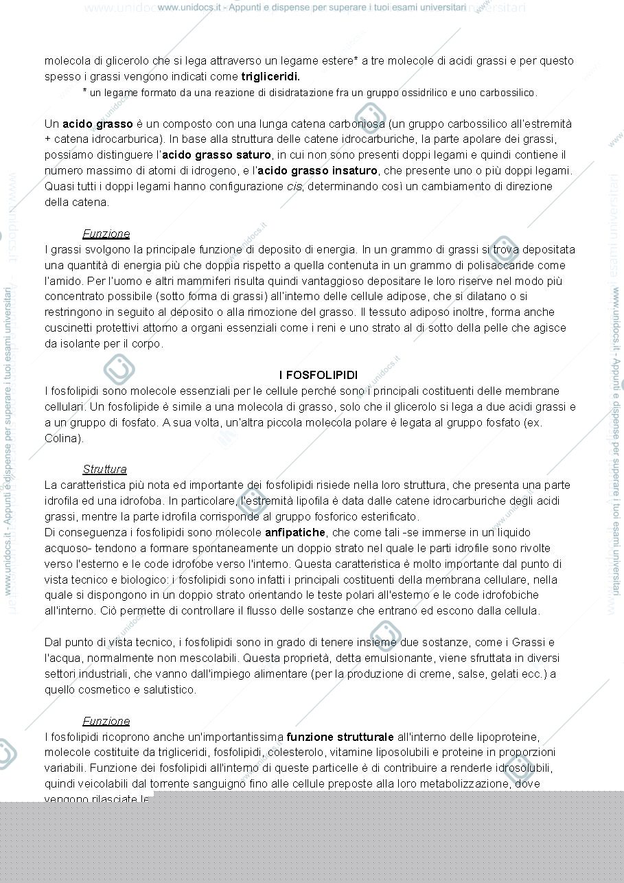 Anteprima pagina 4 — domande e risposte biologia 