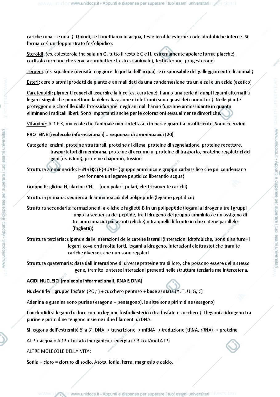 Anteprima pagina 2 — Fondamenti di Biologia: appunti