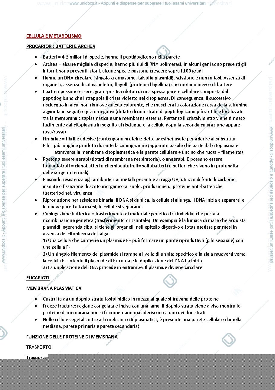 Anteprima pagina 3 — Fondamenti di Biologia: appunti
