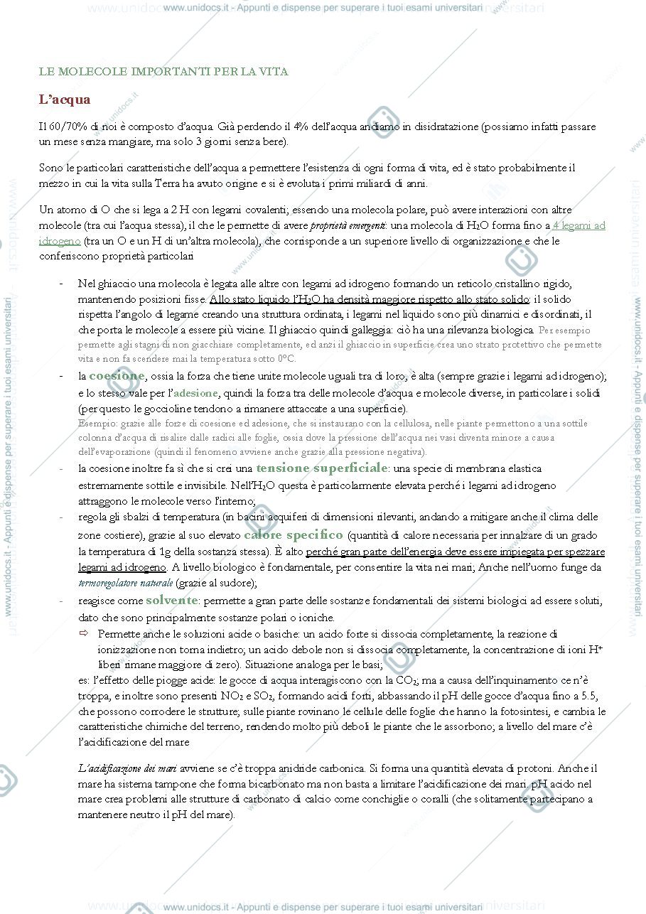 Anteprima pagina 1 — molecole alla base della vita