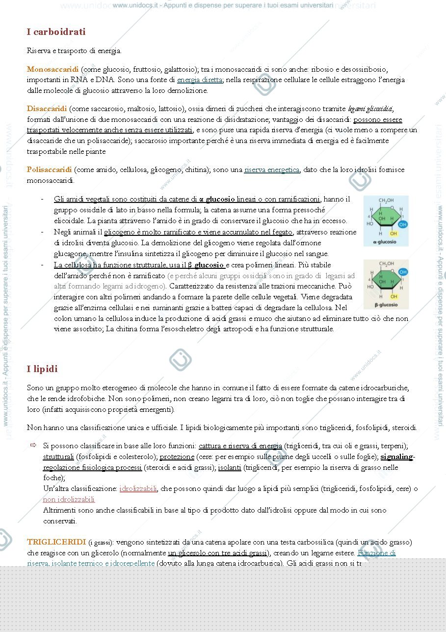 Anteprima pagina 2 — molecole alla base della vita