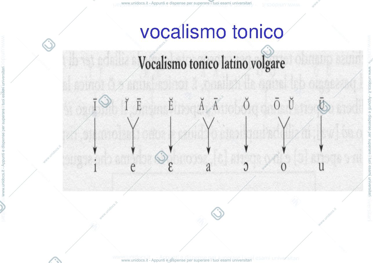 Anteprima pagina 1 — Vocalismi dal Latino alle Romanze