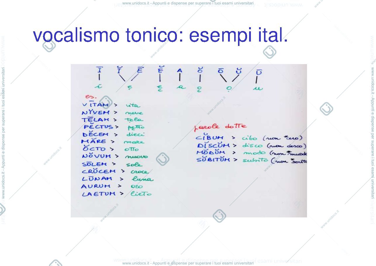 Anteprima pagina 3 — Vocalismi dal Latino alle Romanze