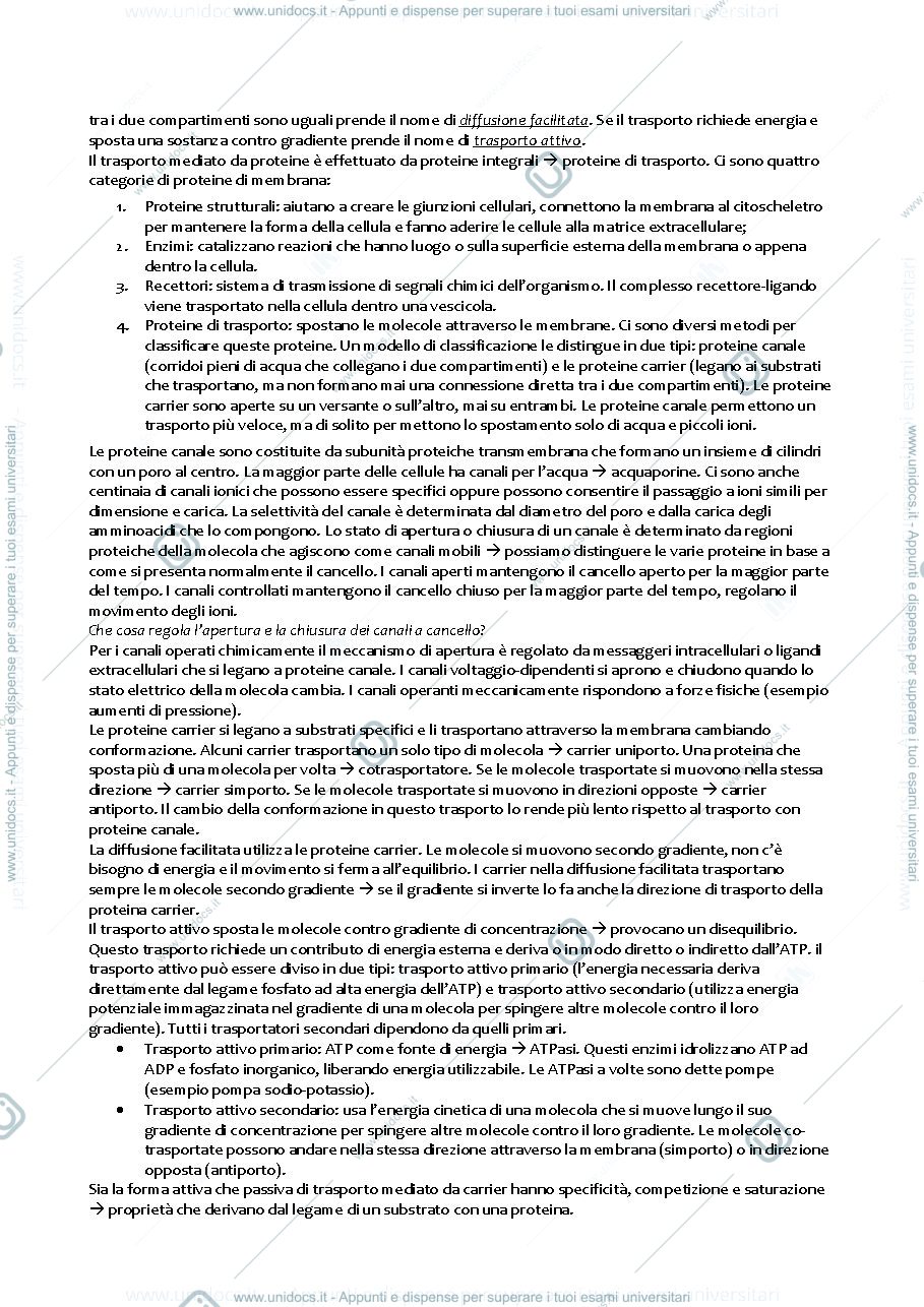 Anteprima pagina 2 — Riassunto libro "fondamenti di fisiologia generale"