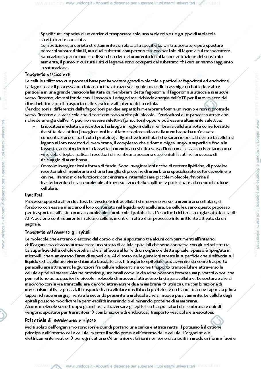 Anteprima pagina 3 — Riassunto libro "fondamenti di fisiologia generale"
