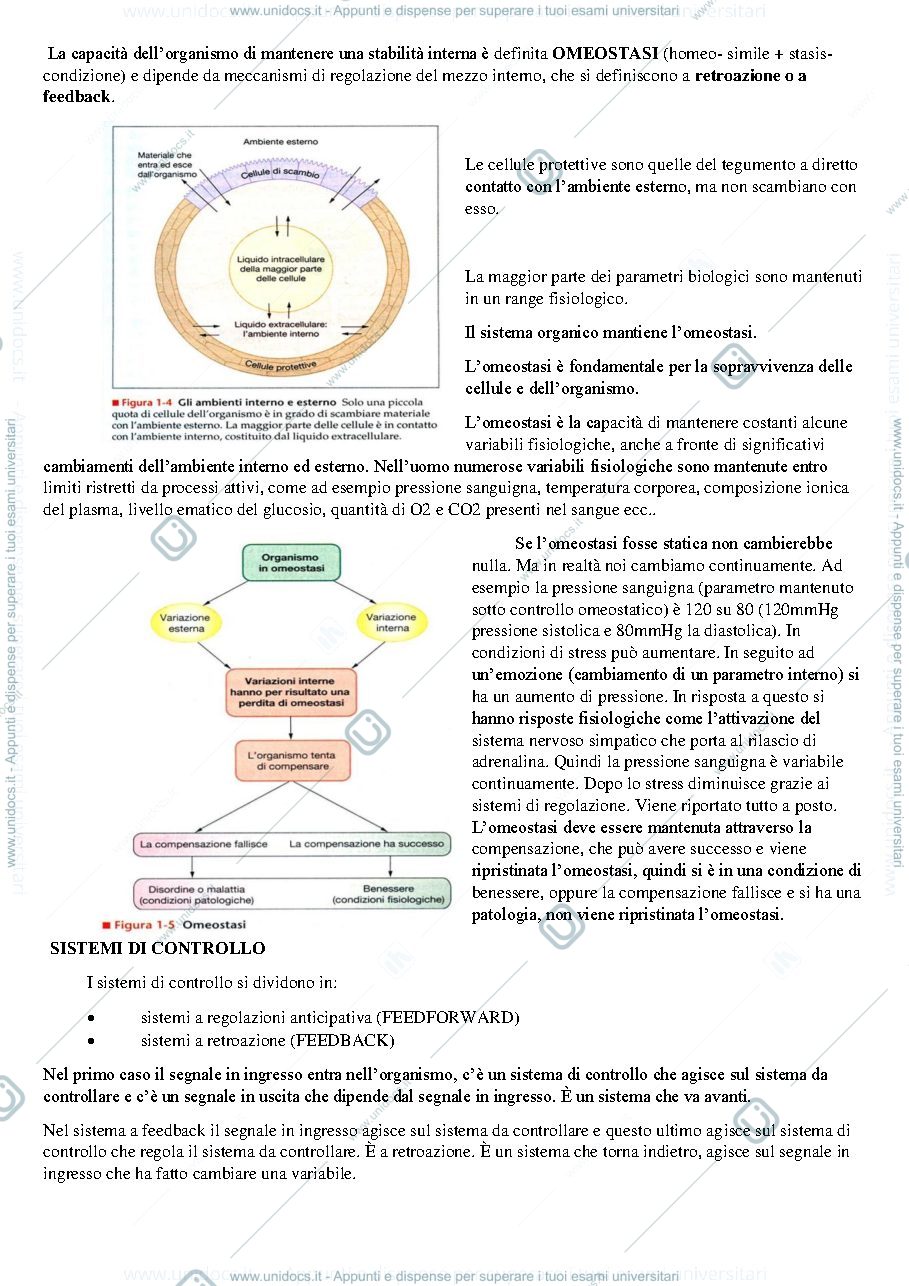 Anteprima pagina 2 — Fondamenti di fisiologia umana prof Crispino