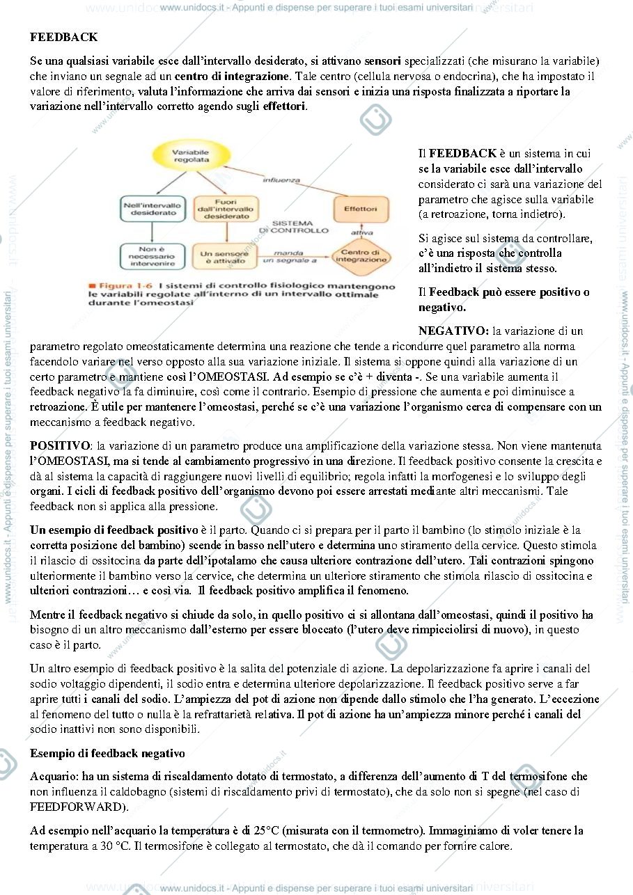 Anteprima pagina 3 — Fondamenti di fisiologia umana prof Crispino